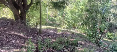 Carr 414 Km 1.3 Int Rincon PR 00677