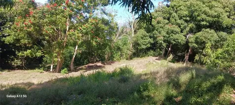 Carr 414 Km 1.3 Int Rincon PR 00677