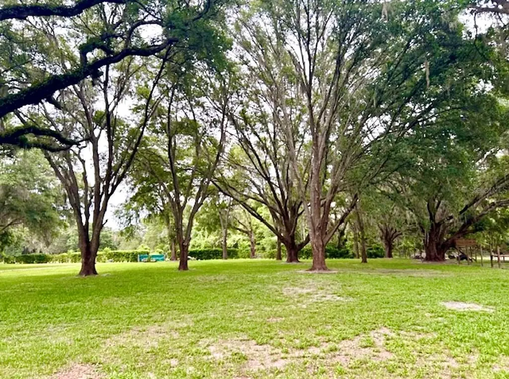528 Ashley Lane Center Hill FL 33514
