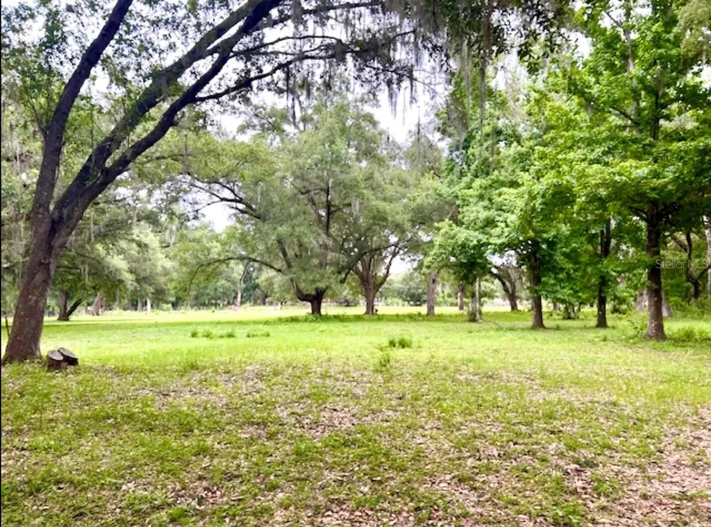 528 Ashley Lane Center Hill FL 33514
