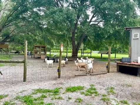 528 Ashley Lane Center Hill FL 33514
