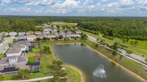 17023 Goldcrest Loop Clermont FL 34714