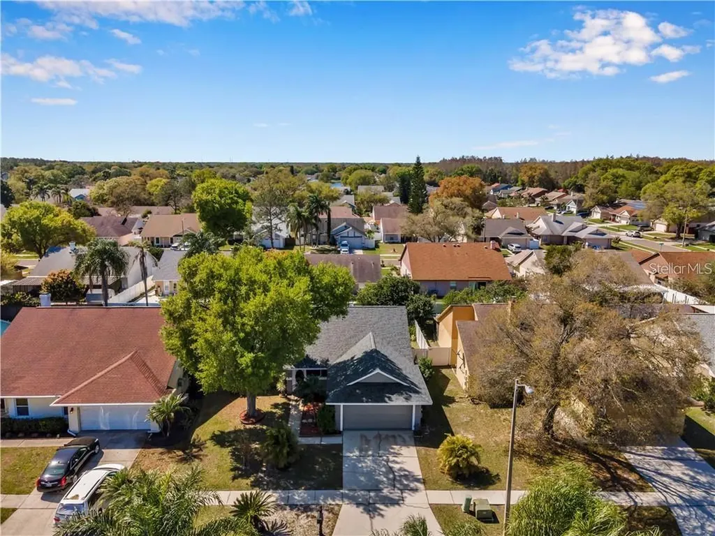 7110 Hollowell Drive Tampa FL 33634