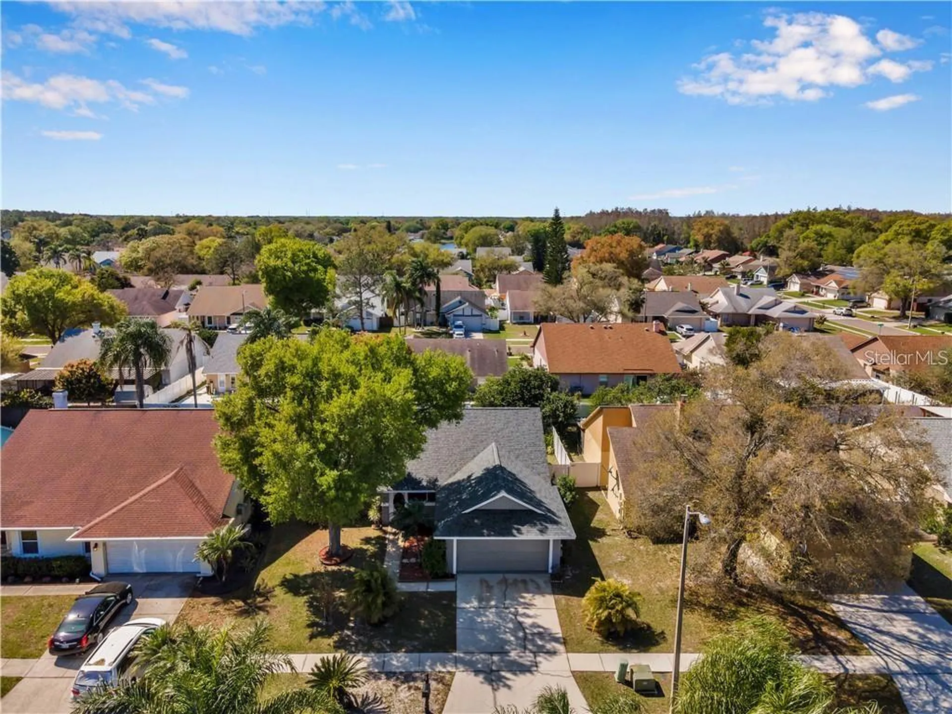 7110 Hollowell Drive Tampa FL 33634