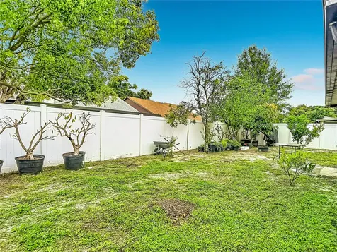 7110 Hollowell Drive Tampa FL 33634