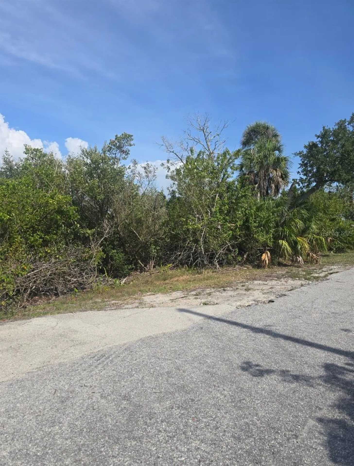 French Avenue Englewood FL 34223