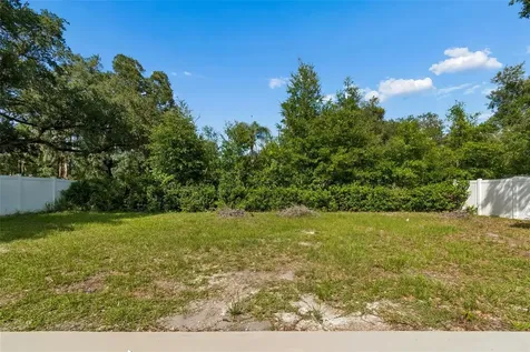 3725 Ambermist Drive Tampa FL 33619