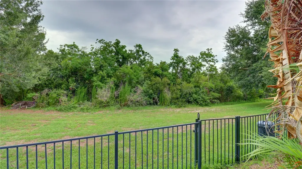 5836 Candytuft Place Land O Lakes FL 34639