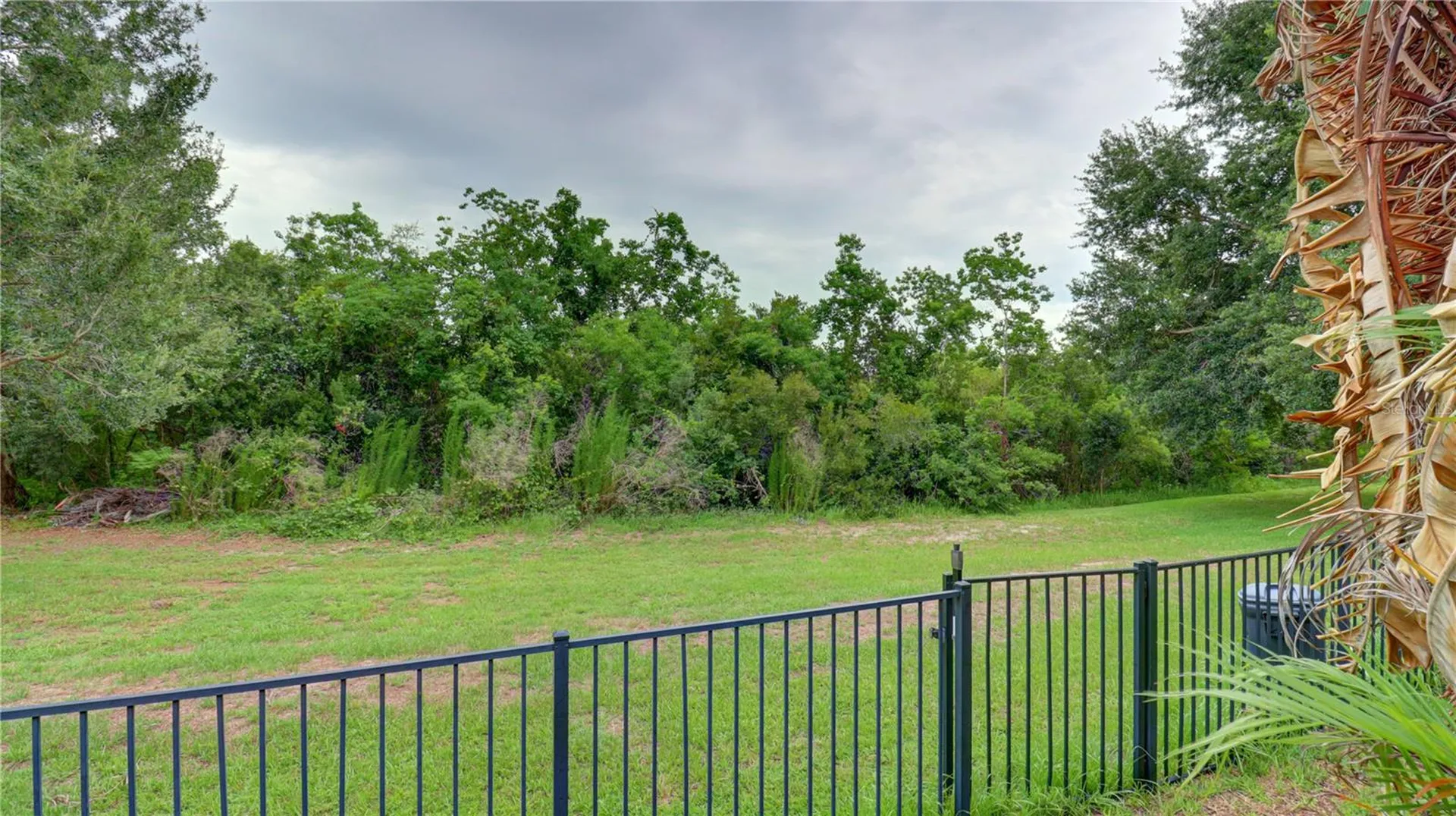 5836 Candytuft Place Land O Lakes FL 34639