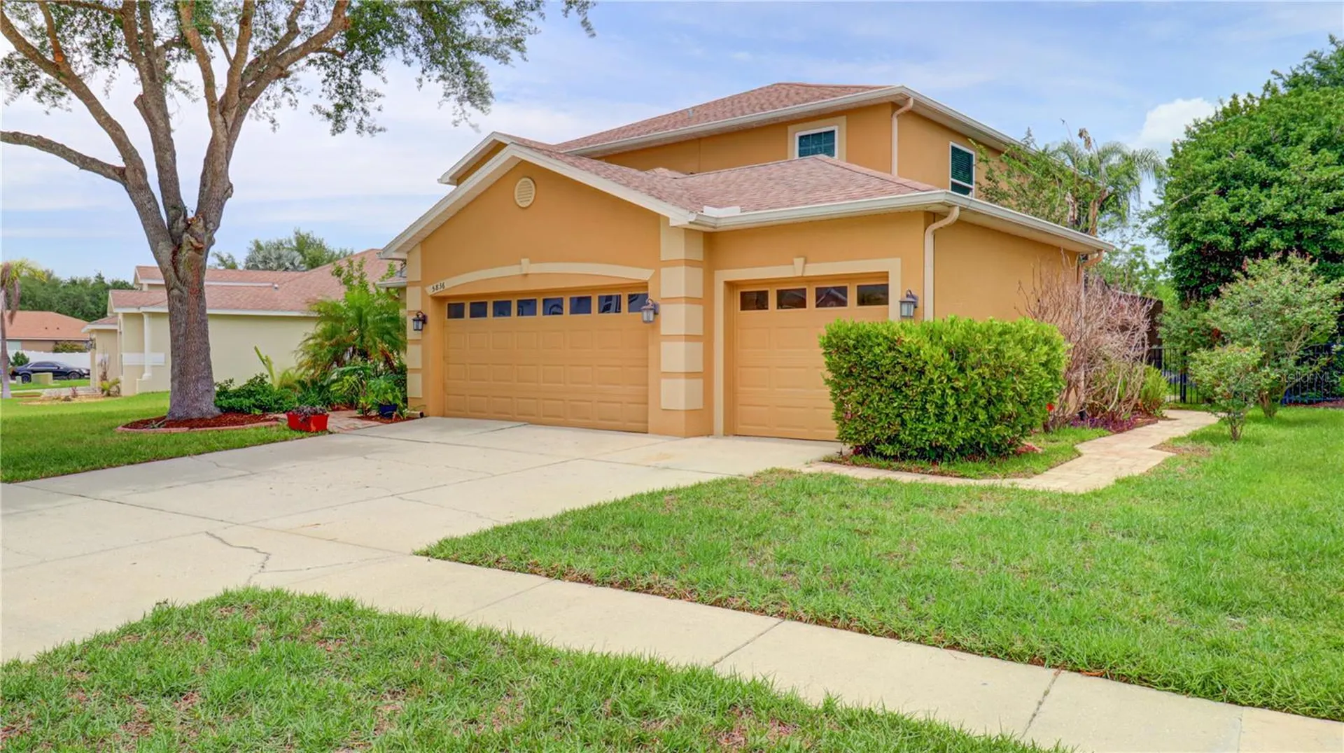 5836 Candytuft Place Land O Lakes FL 34639