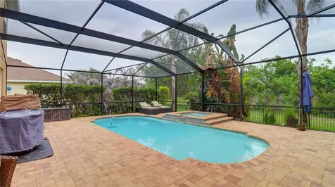 5836 Candytuft Place Land O Lakes FL 34639