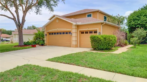 5836 Candytuft Place Land O Lakes FL 34639