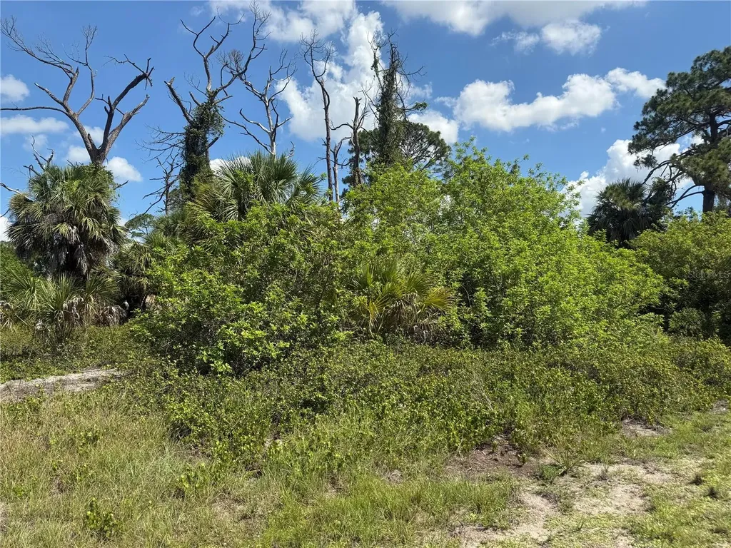 Fairlane Drive North Port FL 34288