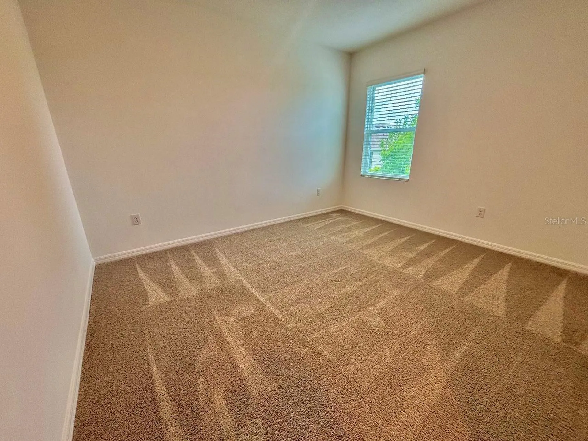 7563 Ashcroft Drive Wesley Chapel FL 33545