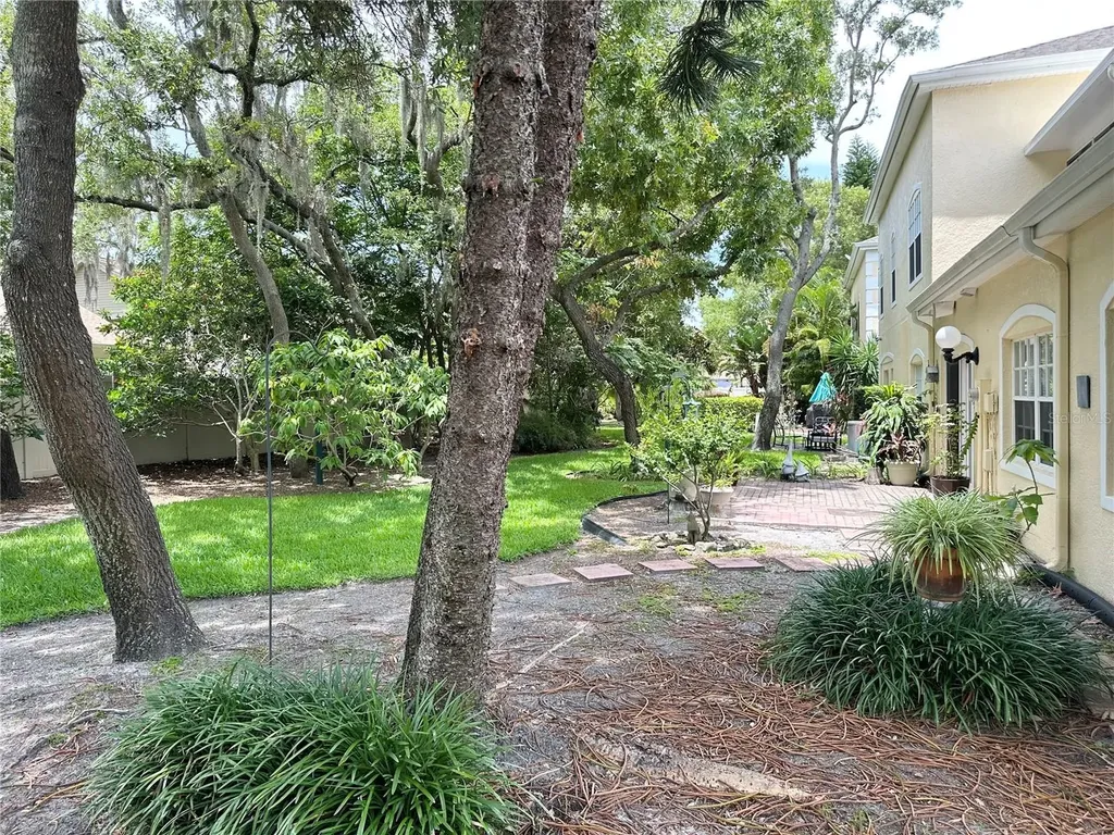 2189 Oak Forest Lane Palm Harbor FL 34683