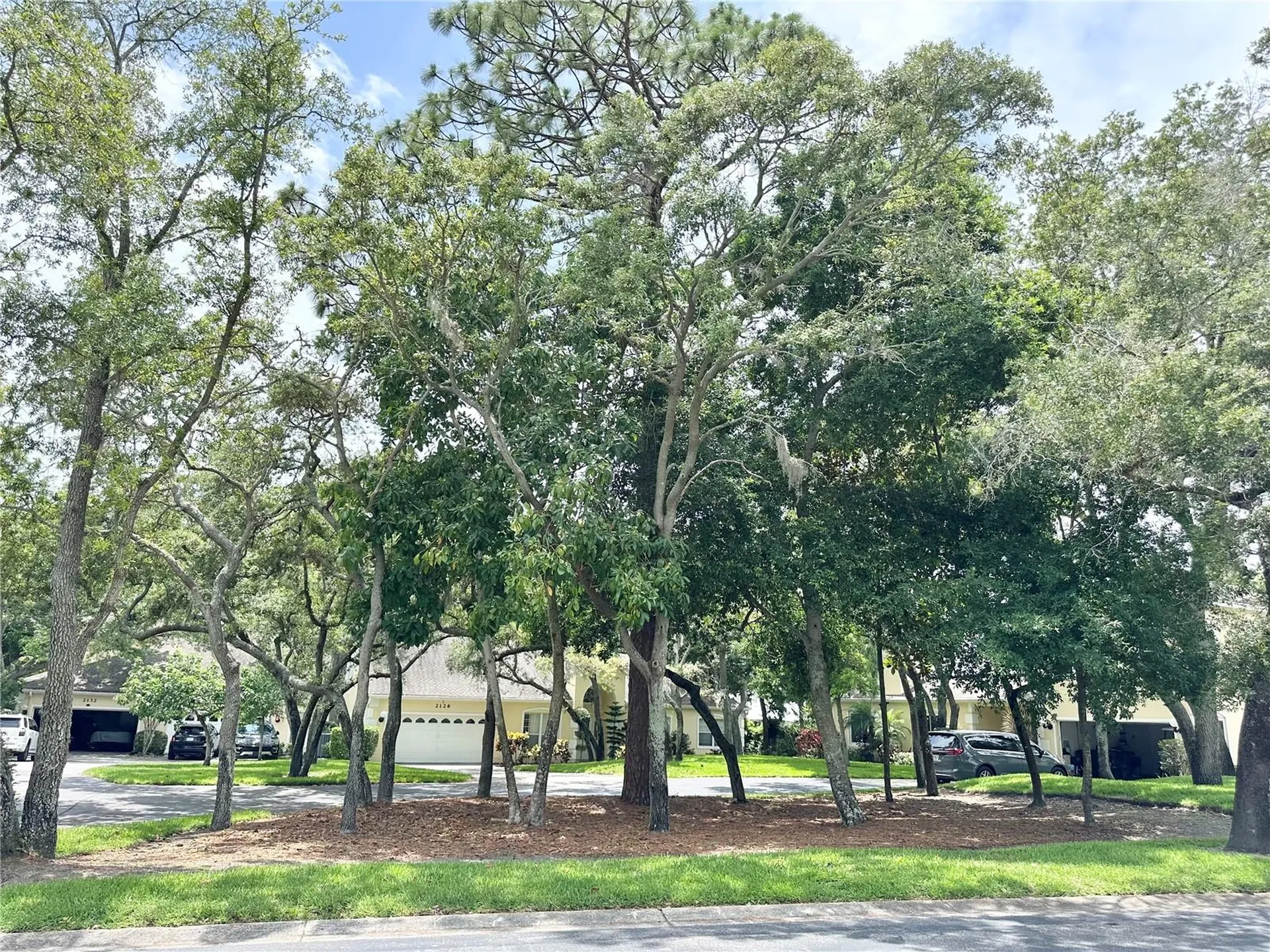 2189 Oak Forest Lane Palm Harbor FL 34683