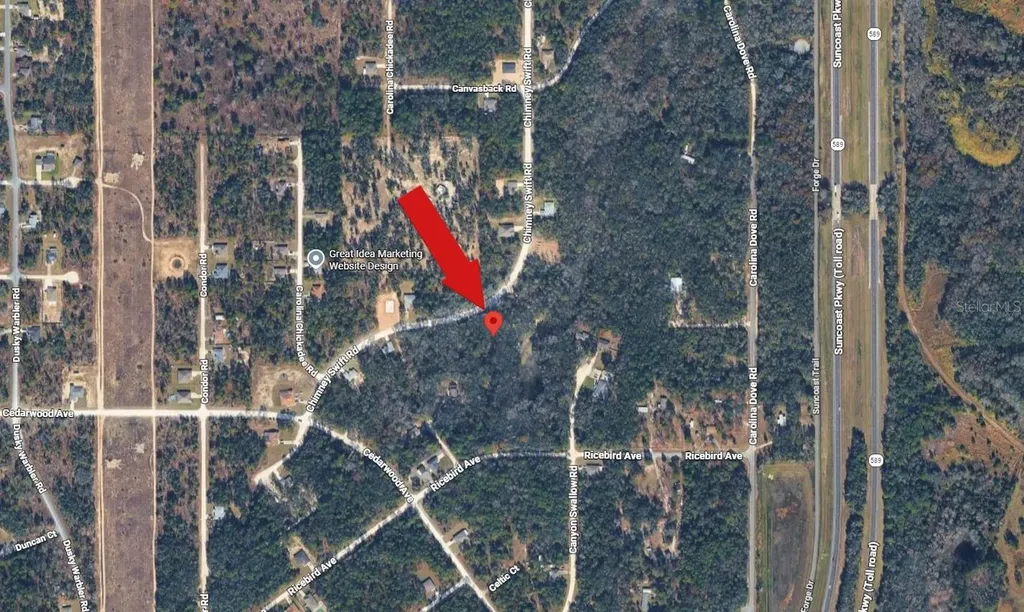 14398 Chimney Swift Road Weeki Wachee FL 34614