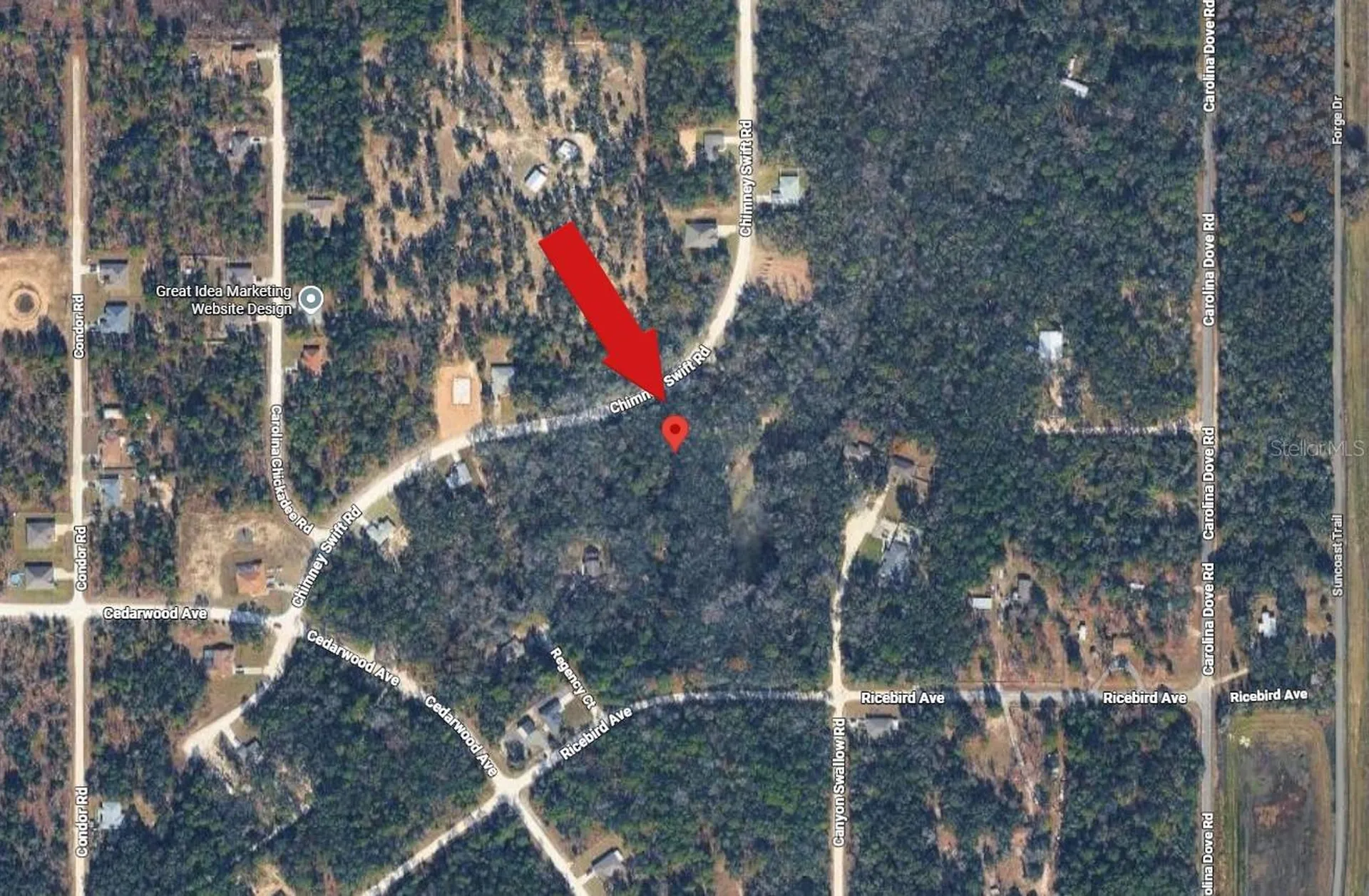 14398 Chimney Swift Road Weeki Wachee FL 34614