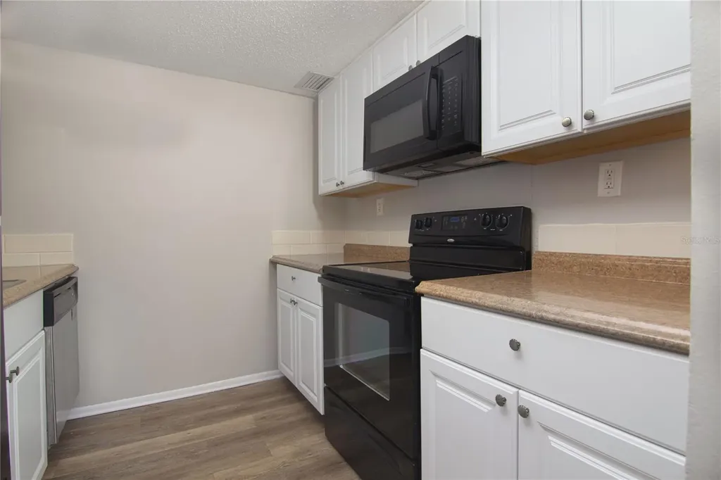 1424 W Holden Avenue Orlando FL 32839