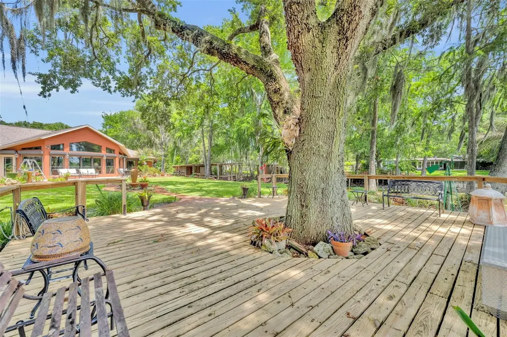 4885 Cr 307 Lake Panasoffkee FL 33538