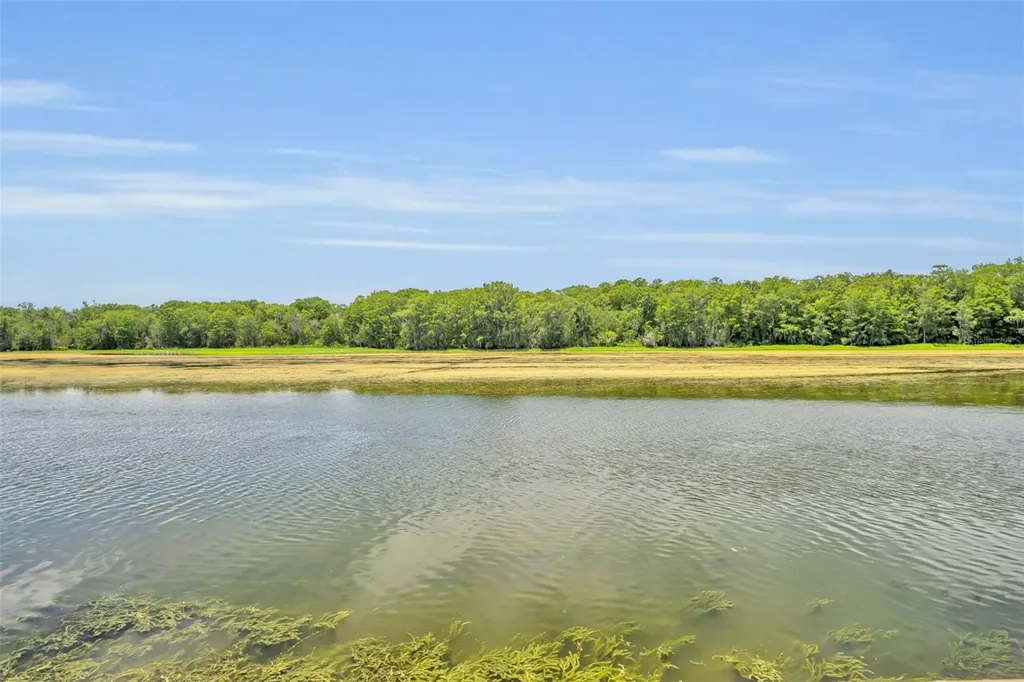 4885 Cr 307 Lake Panasoffkee FL 33538