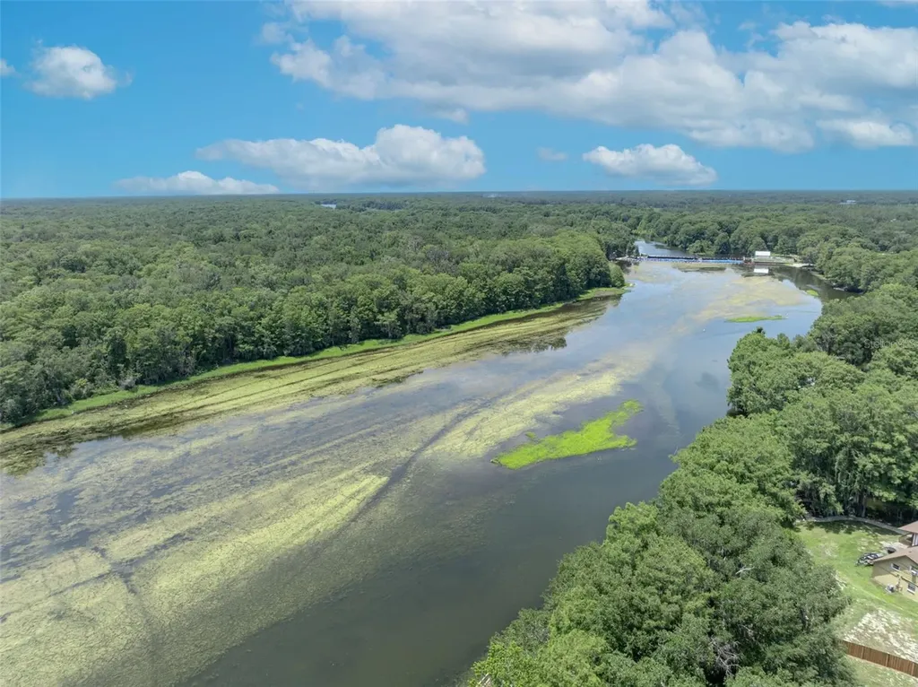 4885 Cr 307 Lake Panasoffkee FL 33538