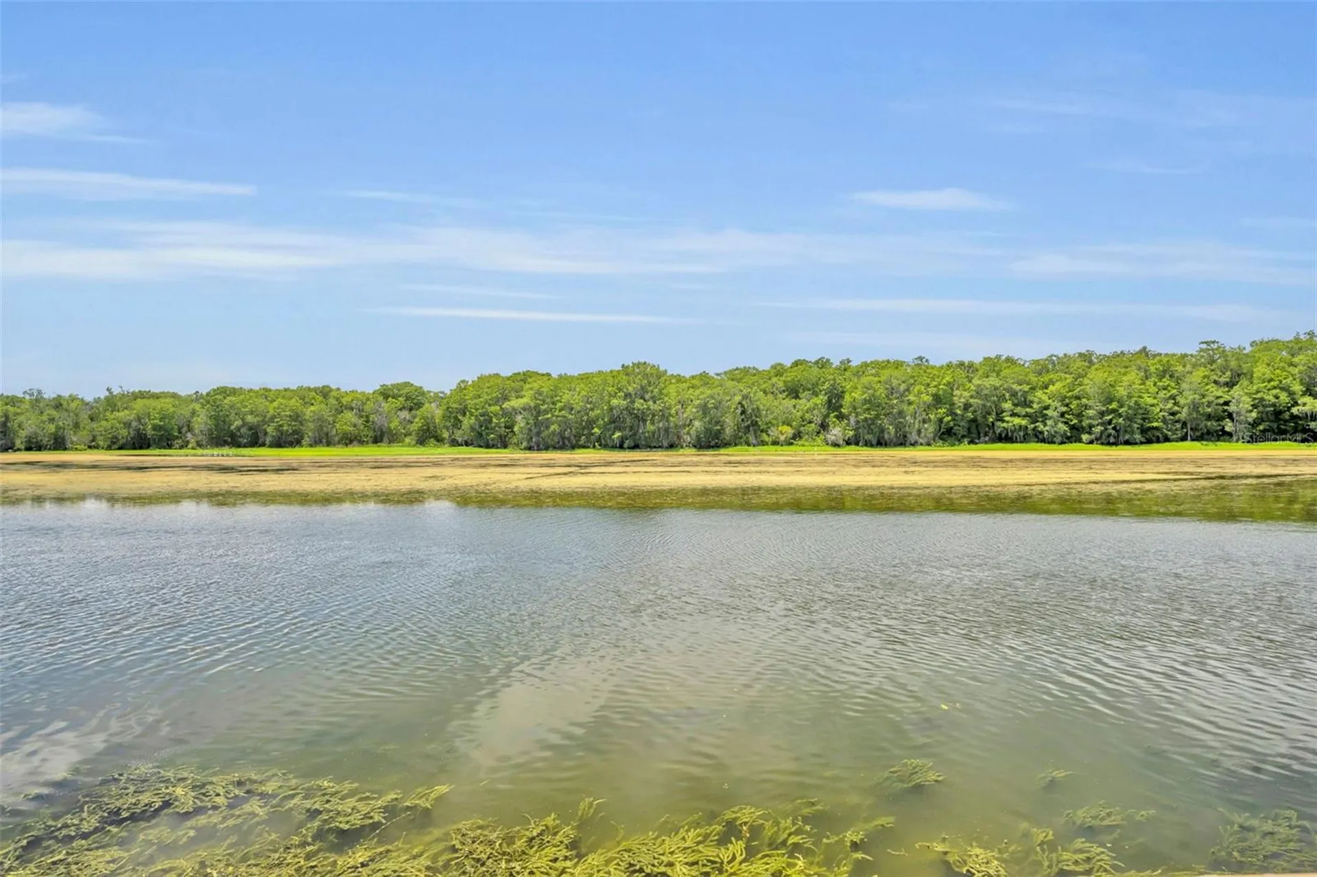 4885 Cr 307 Lake Panasoffkee FL 33538