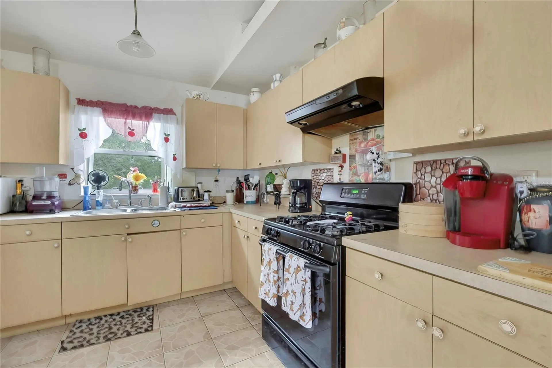 2124 Deborah Drive Spring Hill FL 34609
