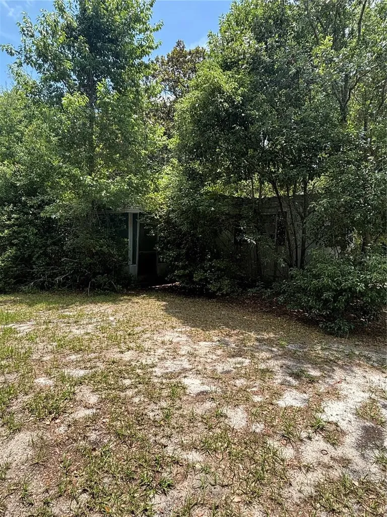 20304 Blue Wing Road Altoona FL 32702