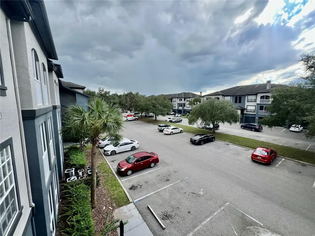 13025 Sanctuary Cove Drive Tampa FL 33637