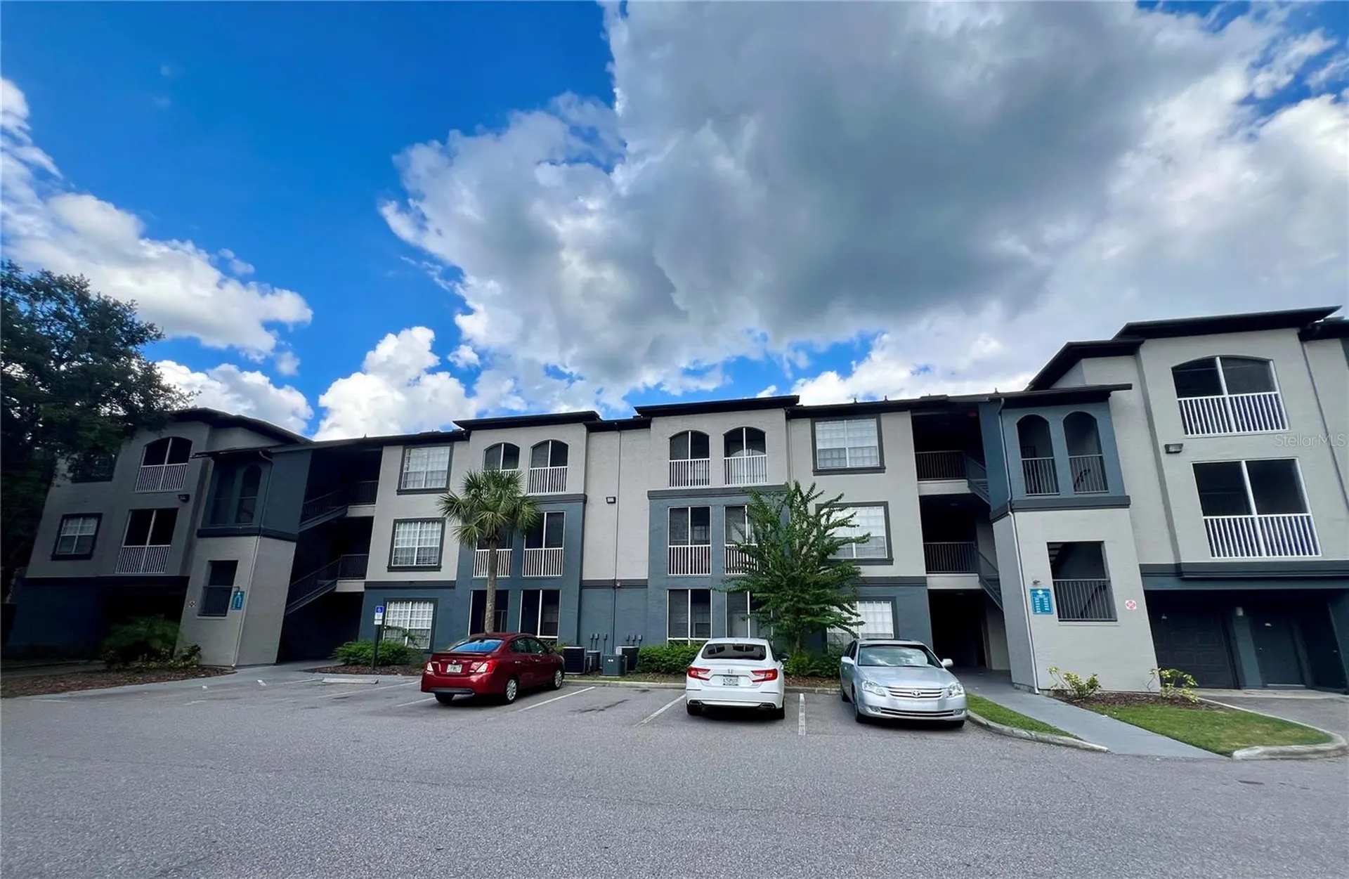 13025 Sanctuary Cove Drive Tampa FL 33637
