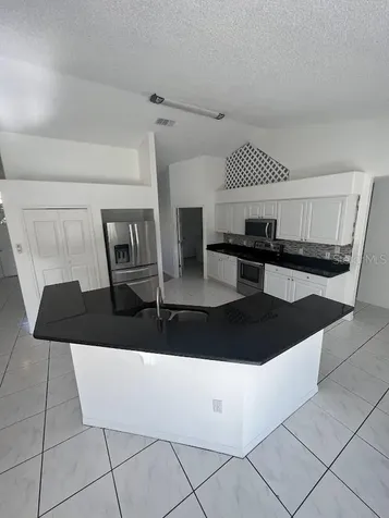 733 Sunridge Woods Boulevard Davenport FL 33837