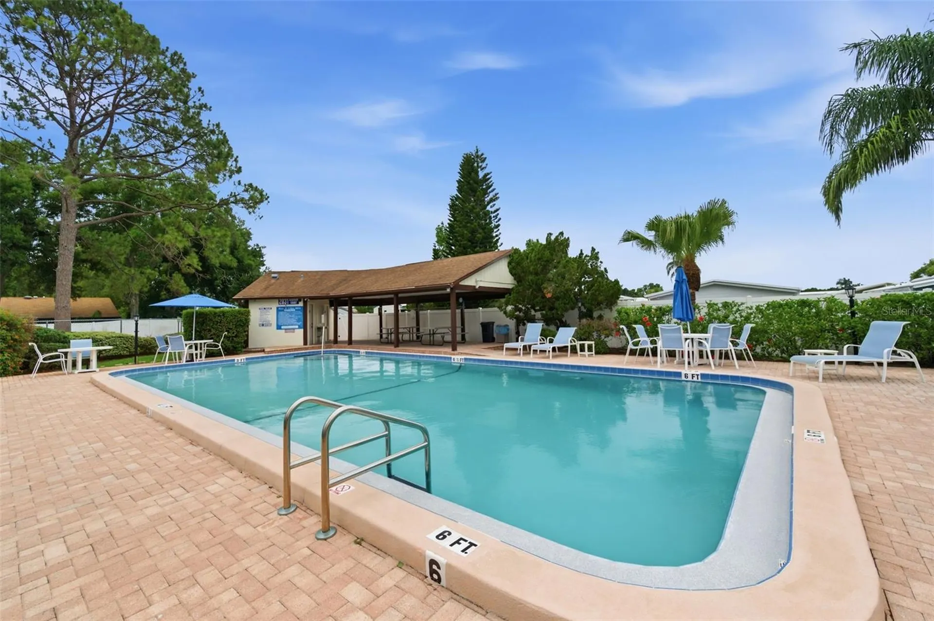 2029 Saginaw Court Oldsmar FL 34677
