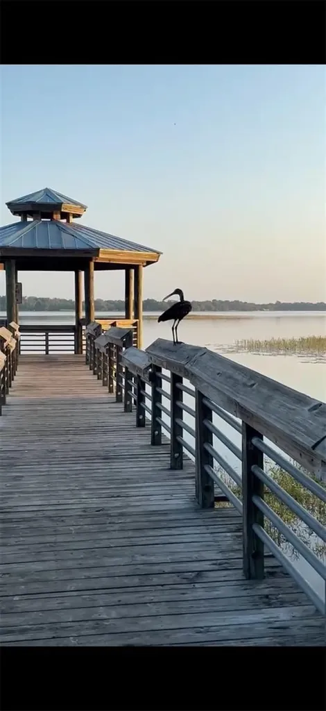 2845 N Lakefront Drive Hernando FL 34442