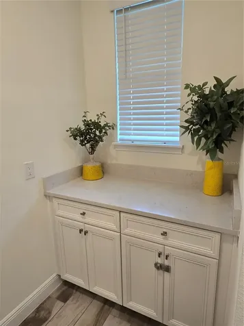 3145 Caribbean Soul Drive Kissimmee FL 34747
