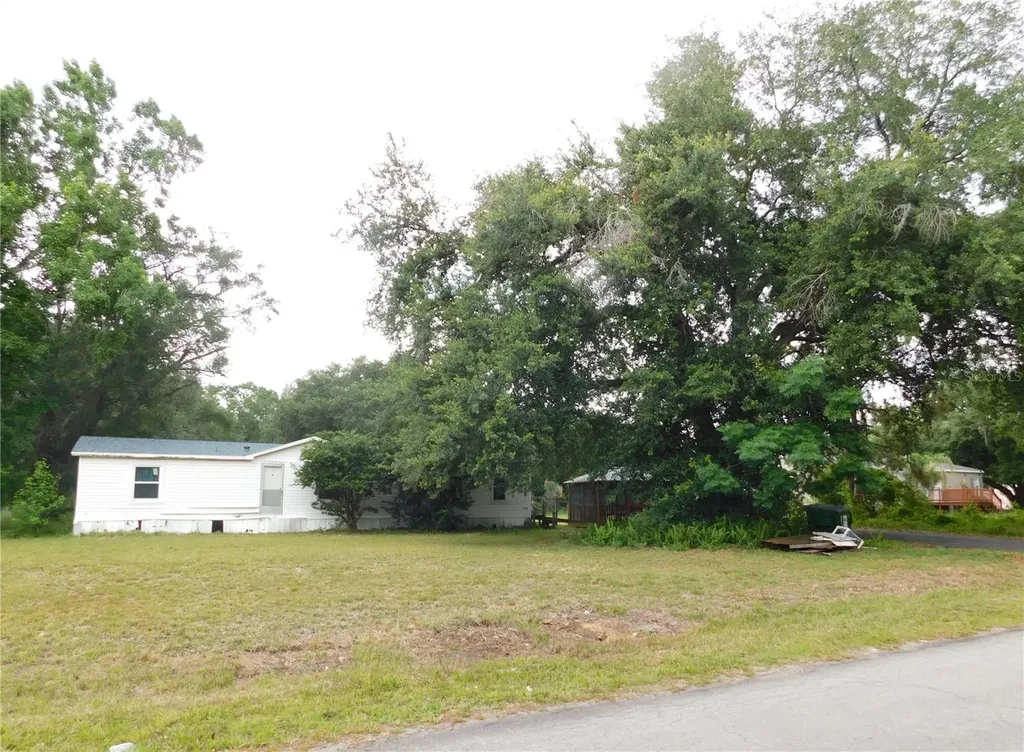 30501 Clearview Drive Wesley Chapel FL 33545