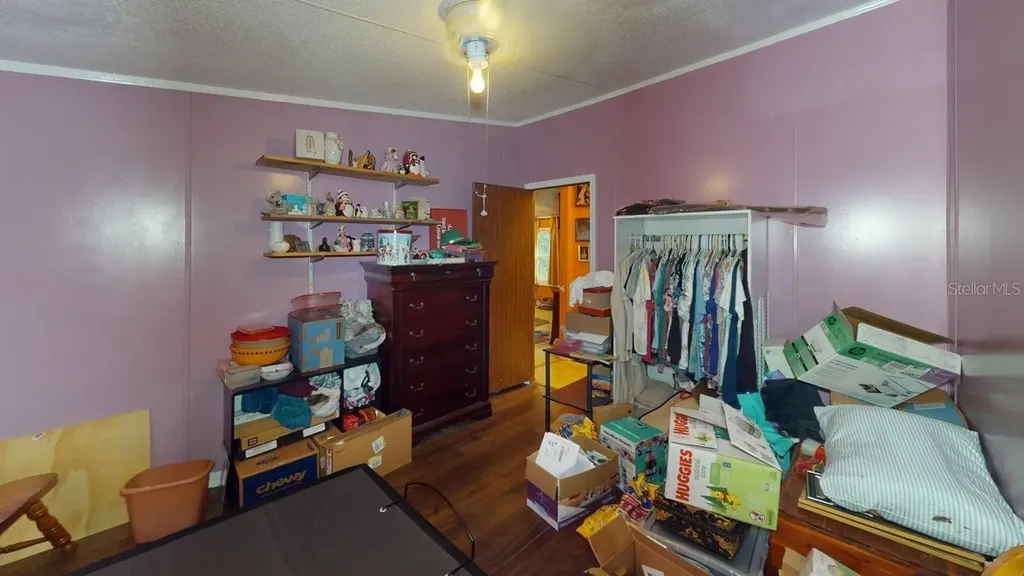 30501 Clearview Drive Wesley Chapel FL 33545
