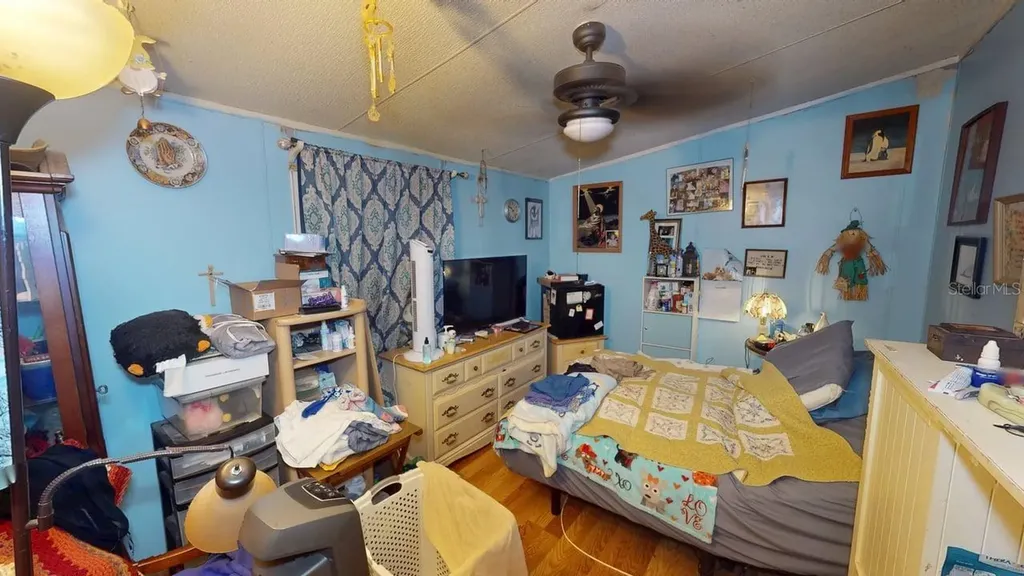 30501 Clearview Drive Wesley Chapel FL 33545