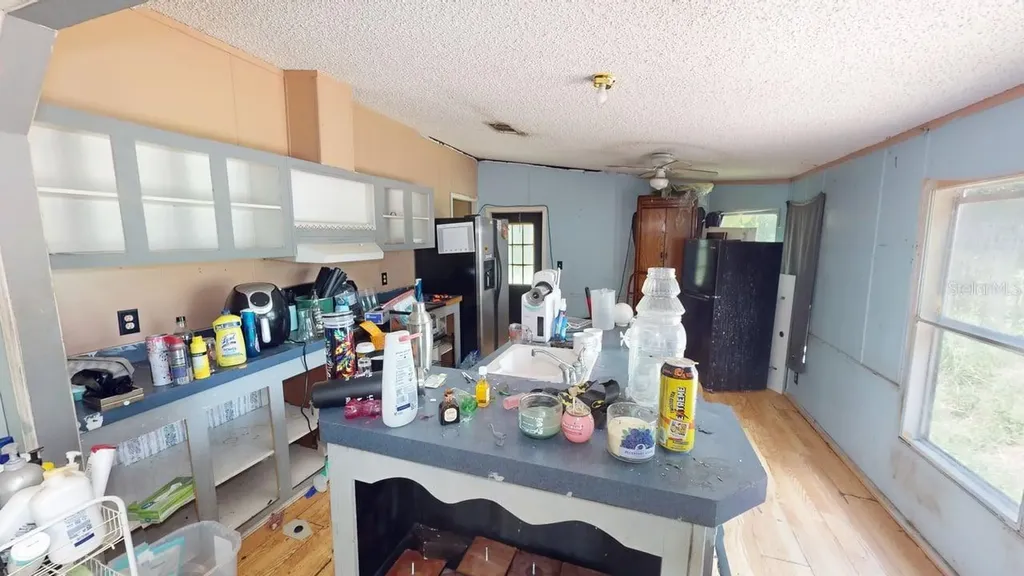30501 Clearview Drive Wesley Chapel FL 33545