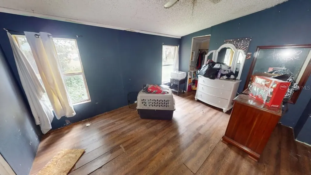 30501 Clearview Drive Wesley Chapel FL 33545