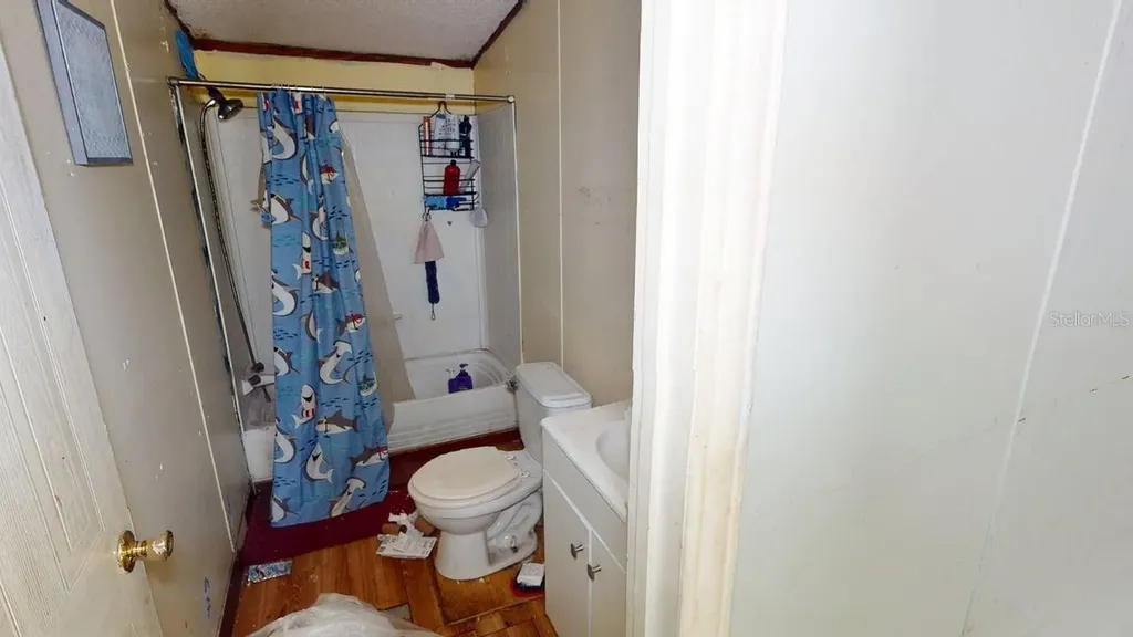 30501 Clearview Drive Wesley Chapel FL 33545