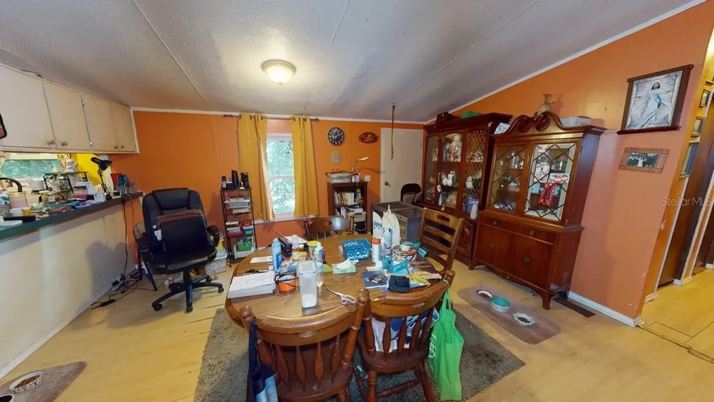 30501 Clearview Drive Wesley Chapel FL 33545