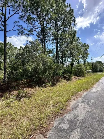 7398 N Veronica Drive Dunnellon FL 34433