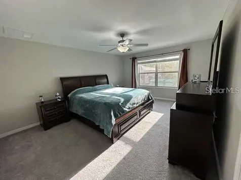 8517 Reedville Street New Port Richey FL 34654