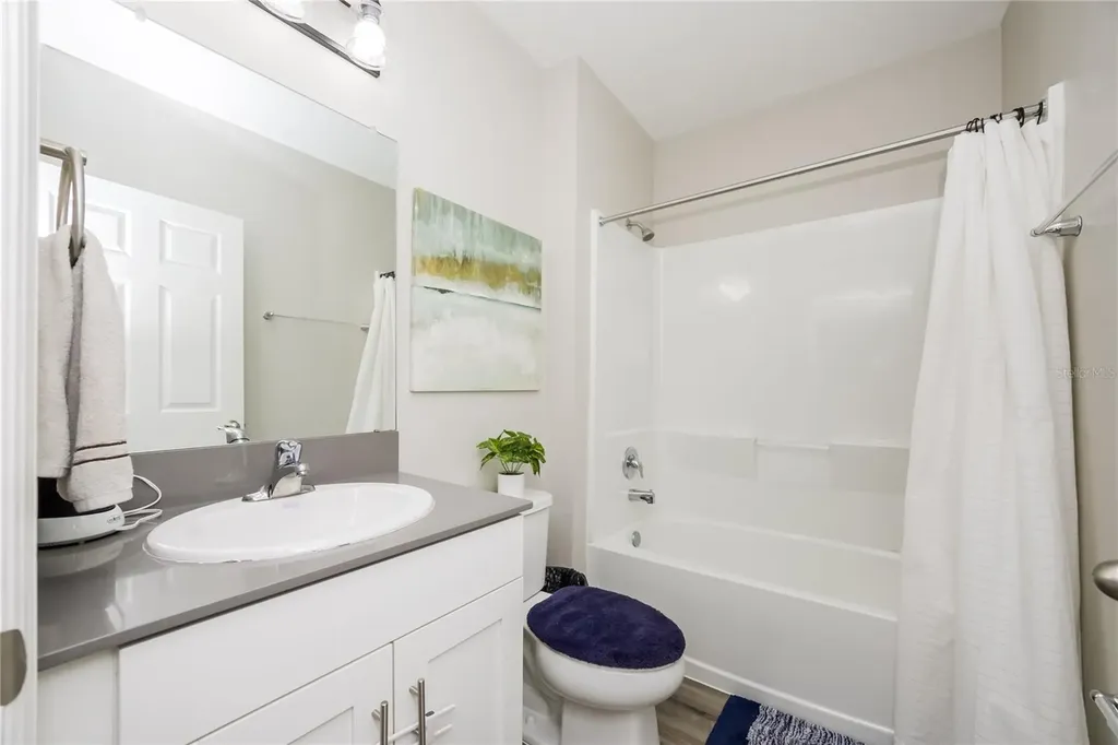 12767 Mangrove Forest Drive Riverview FL 33579