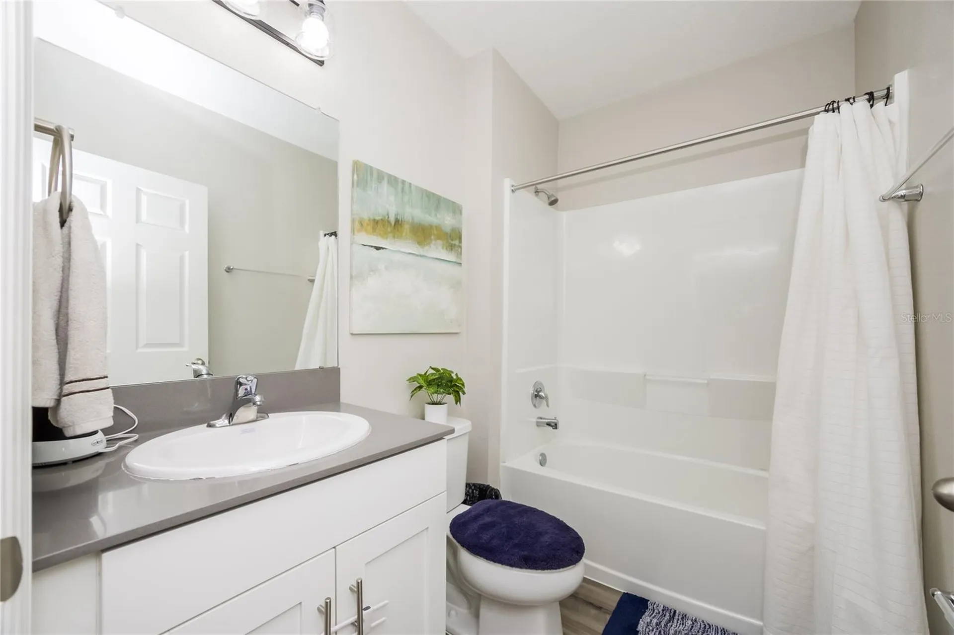 12767 Mangrove Forest Drive Riverview FL 33579