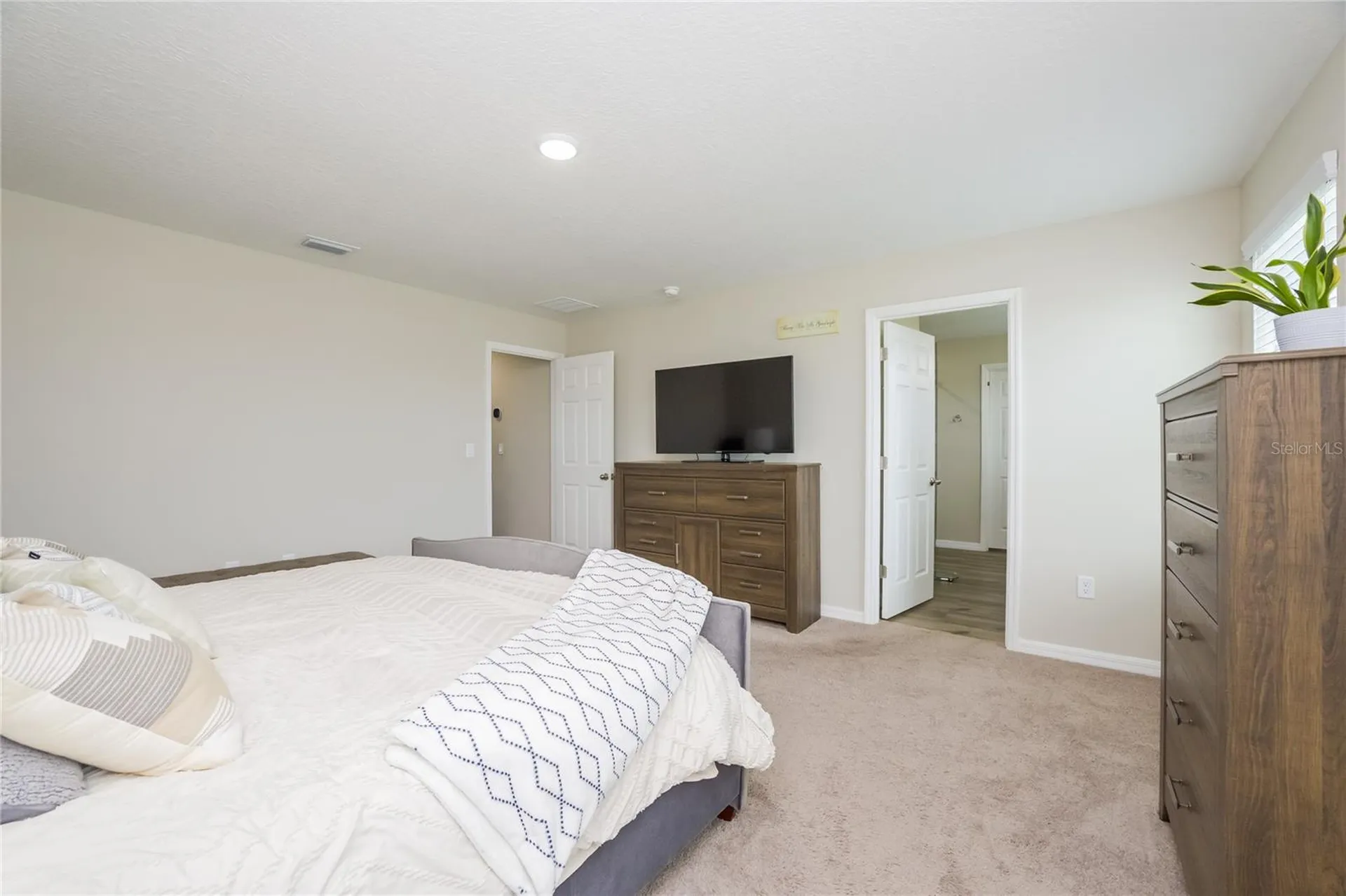 12767 Mangrove Forest Drive Riverview FL 33579