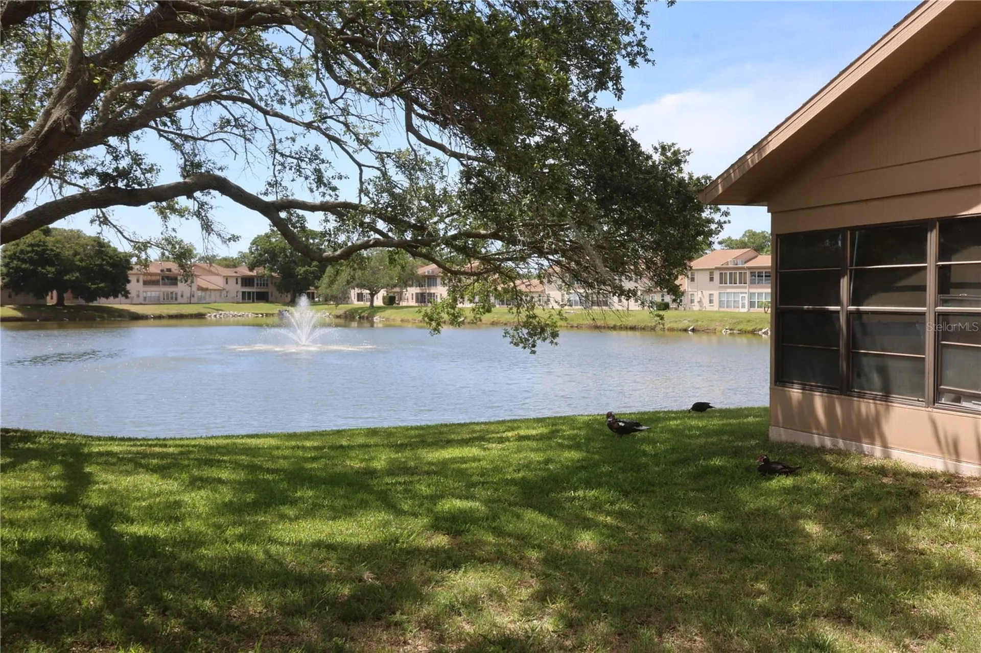 3835 Sailmaker Lane Holiday FL 34691