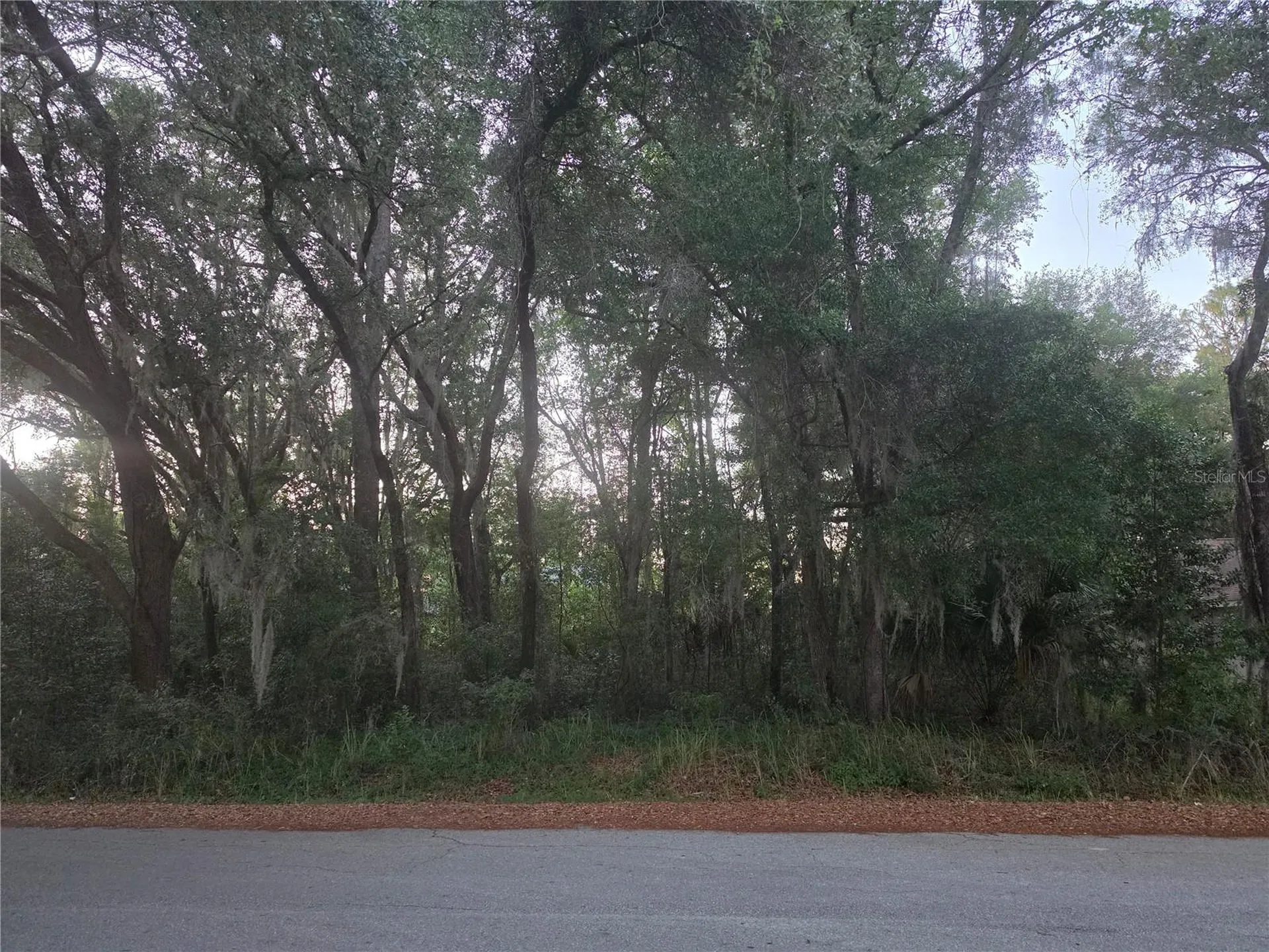 Pine Circle Ocala FL 34472