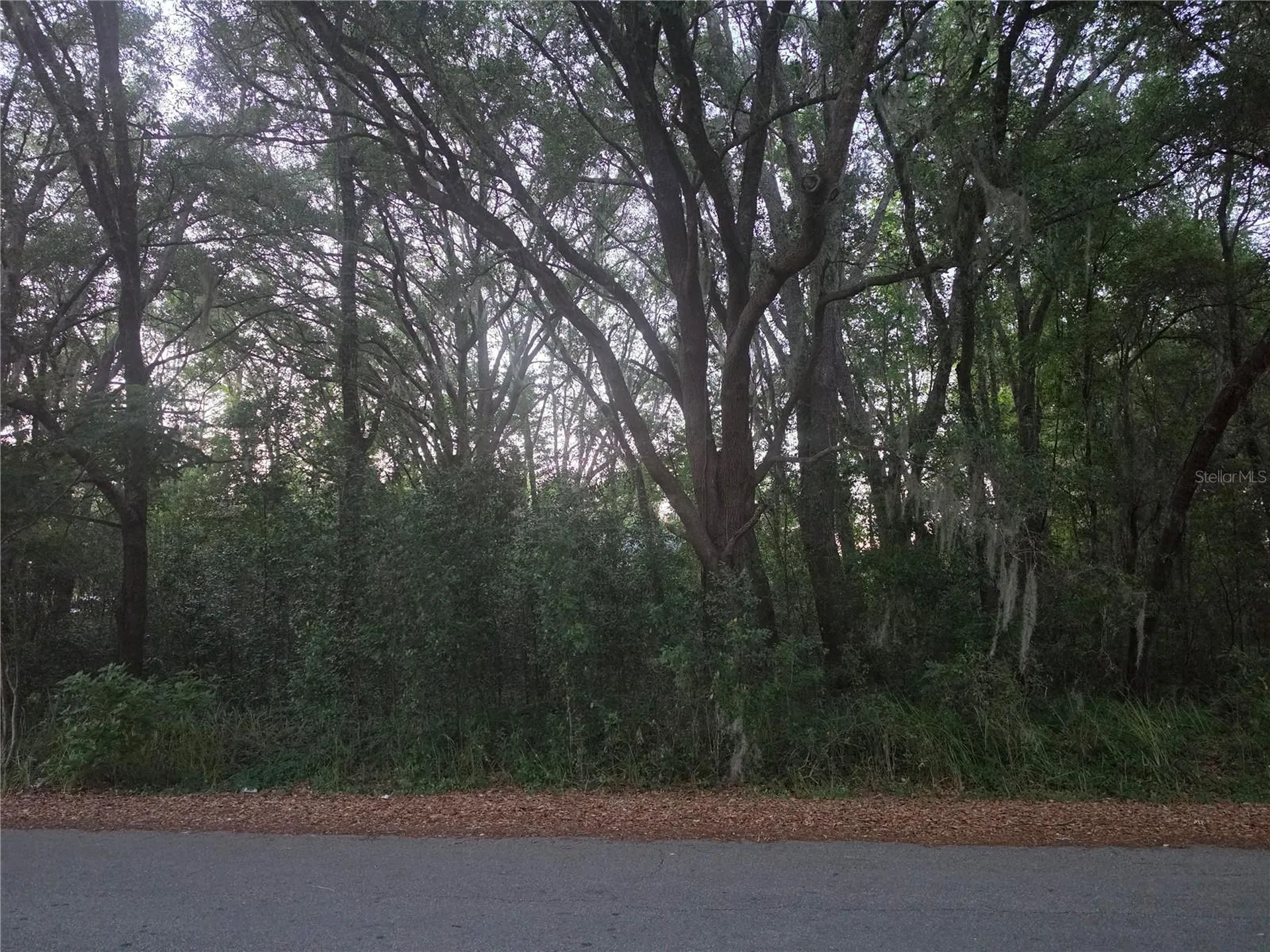 Pine Circle Ocala FL 34472